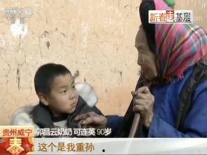 我是你祖奶奶,我是你祖奶奶的传奇故事