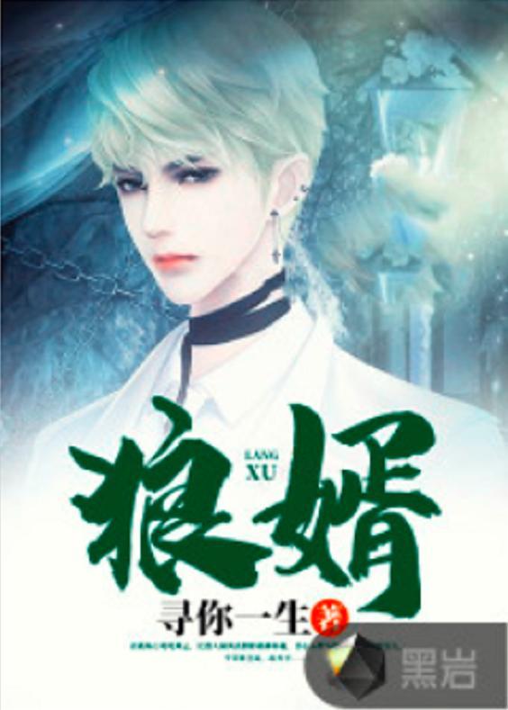 狼婿下山,江湖传奇，英雄归来