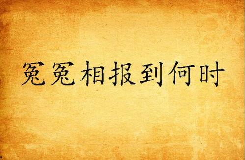 冤冤相报,一场宿命的较量