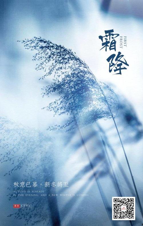 星辰未眠时（下山何处觅君归）,一场跨越时空的追寻之旅